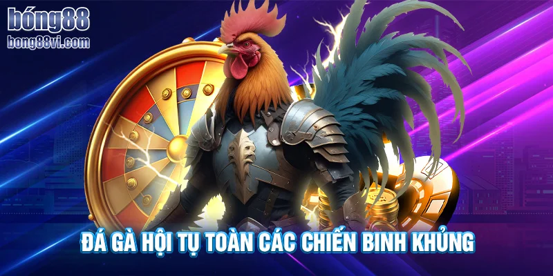 Hàng loạt trận đấu căng thẳng và mãn nhãn tại sảnh đá gà BONG88